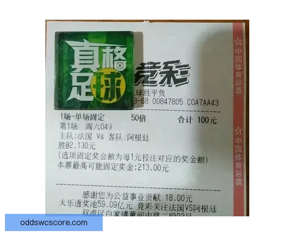 世界杯竞猜网站推荐与投注技巧分析助你精准预测赛事结果 世界杯竞猜网站推荐与投注技巧分析助你精准预测赛事结果